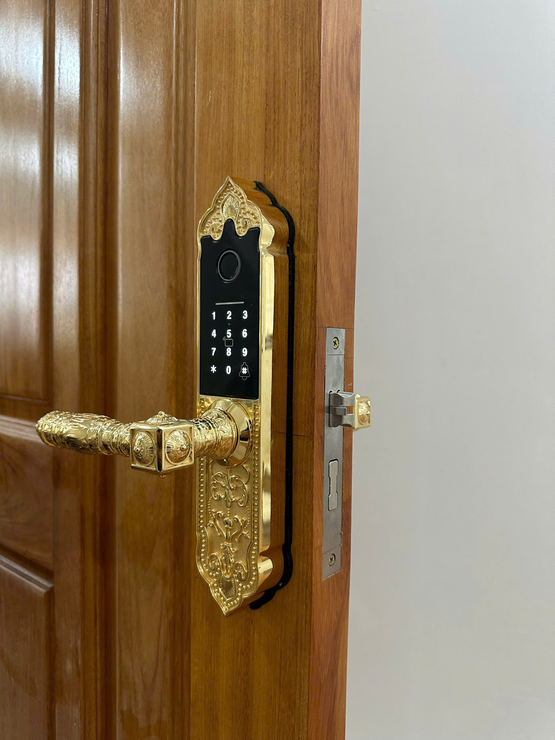 Khóa cửa vân tay tân cổ điển cao cấp Kassler KL-919