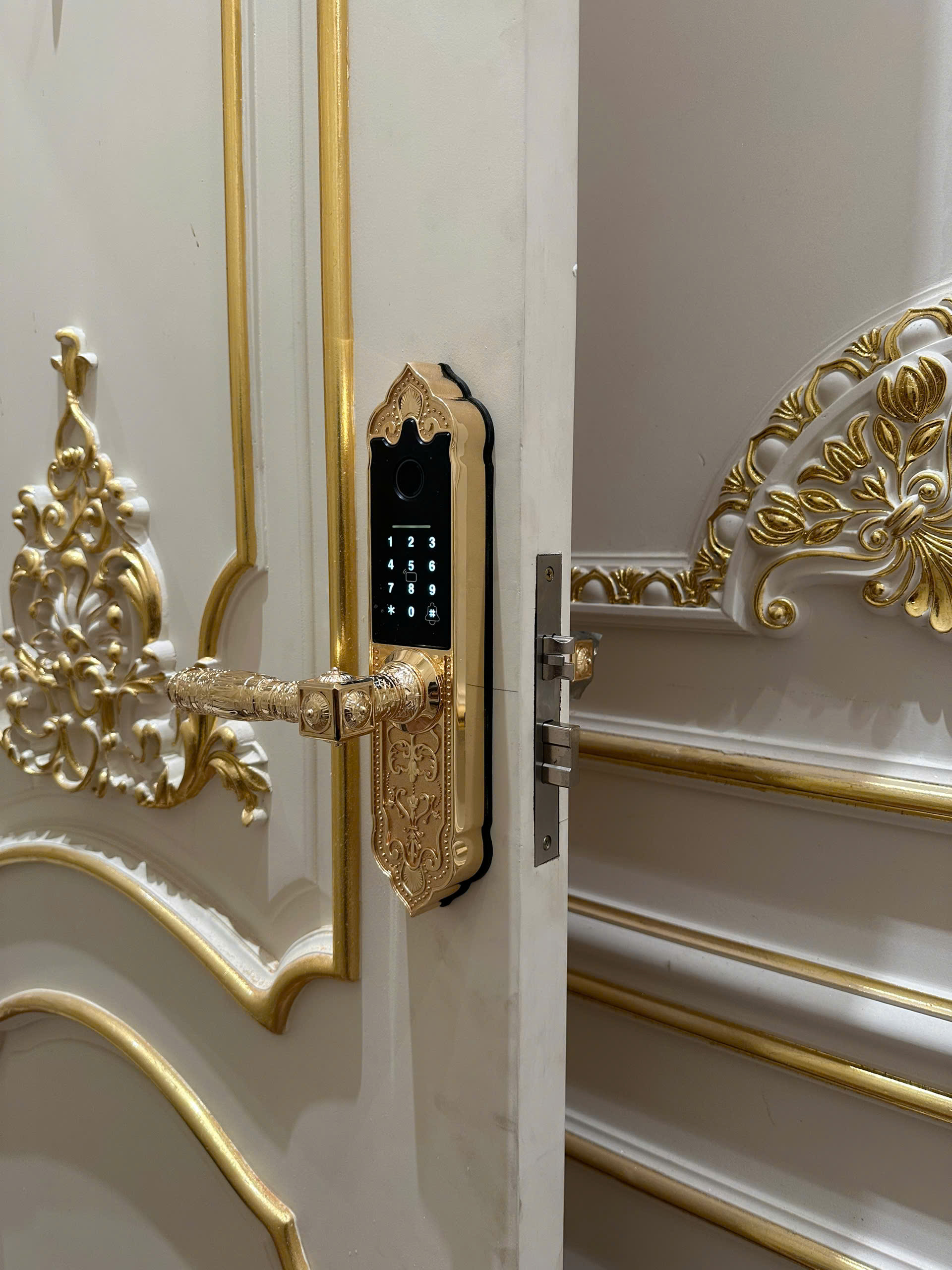 Khóa cửa vân tay tân cổ điển cao cấp Kassler KL-919