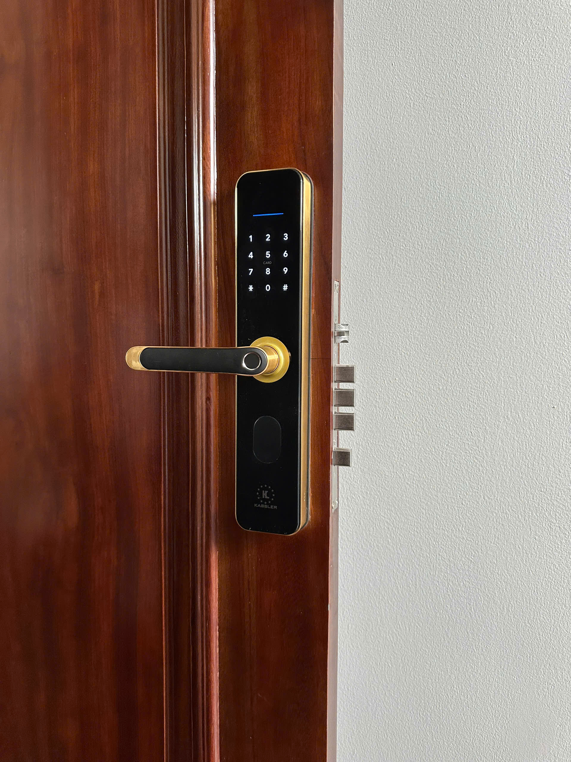 Khóa cửa vân tay Kassler KL-696 APP WIFI ( 4 MÀU )